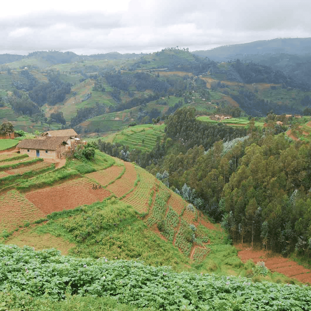 Feldanbau zum CO2 Ausgleich